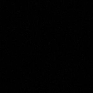 Meet your Posher, Iliana